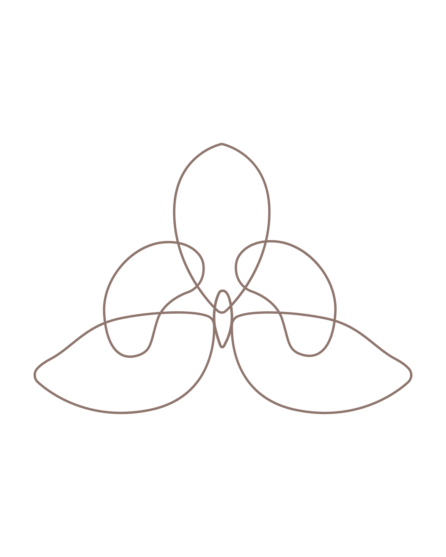 AMADA | Línea de novias